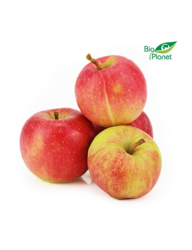 OPAKOWANIE ZBIORCZE (kg) - JABŁKA NA SOK ŚWIEŻE BIO (POLSKA) (około 5 kg)