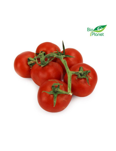POMIDORY NA GAŁĄZCE ŚWIEŻE BIO (około 0,45 kg)