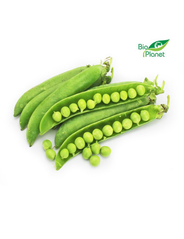OPAKOWANIE ZBIORCZE (kg) - GROSZEK ZIELONY ŚWIEŻY BIO (około 4 kg)
