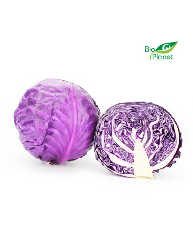 OPAKOWANIE ZBIORCZE (kg) - KAPUSTA CZERWONA MŁODA ŚWIEŻA BIO (około 10 kg)